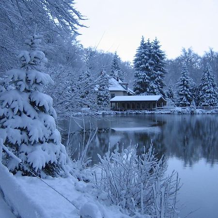 Waldhotel Zur Holzmuhle แอลดากเซน ภายนอก รูปภาพ