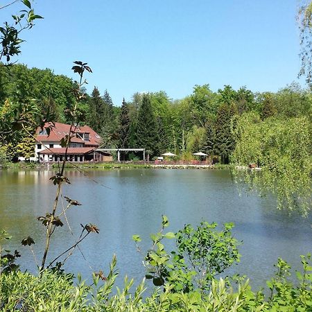 Waldhotel Zur Holzmuhle แอลดากเซน ภายนอก รูปภาพ