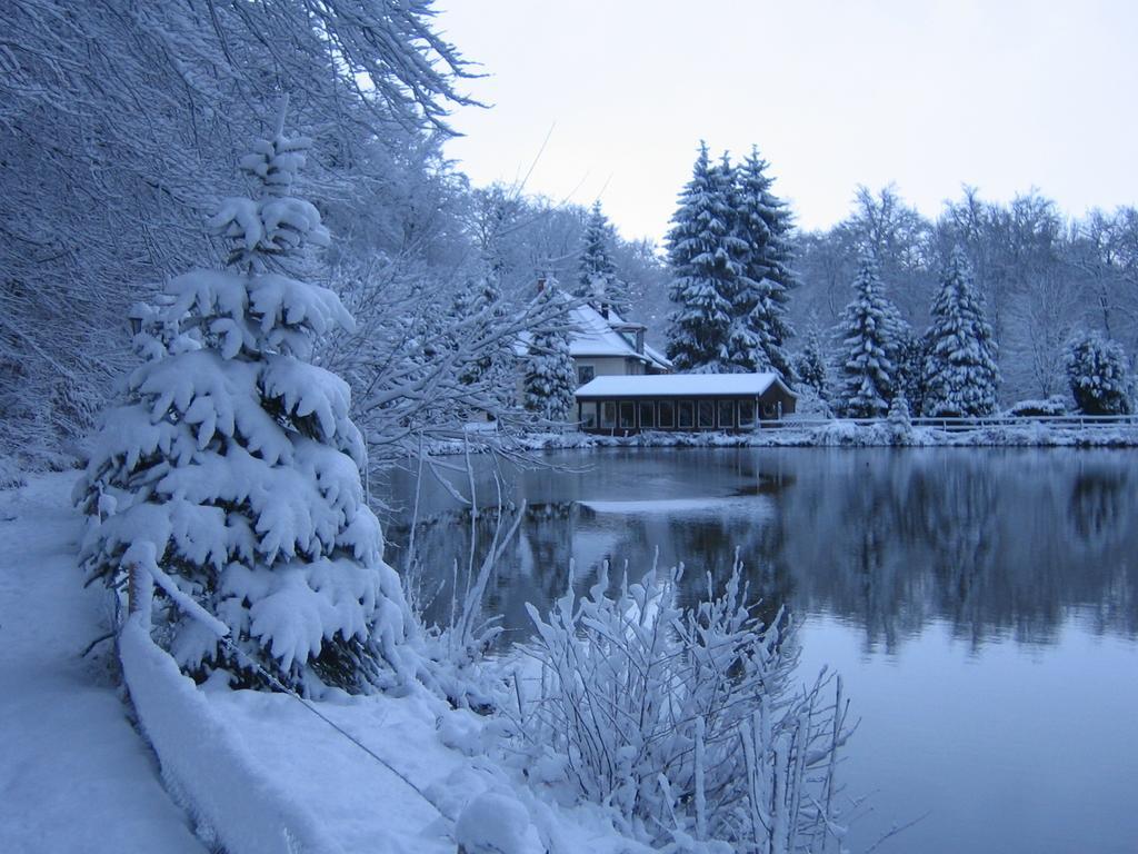 Waldhotel Zur Holzmuhle แอลดากเซน ภายนอก รูปภาพ