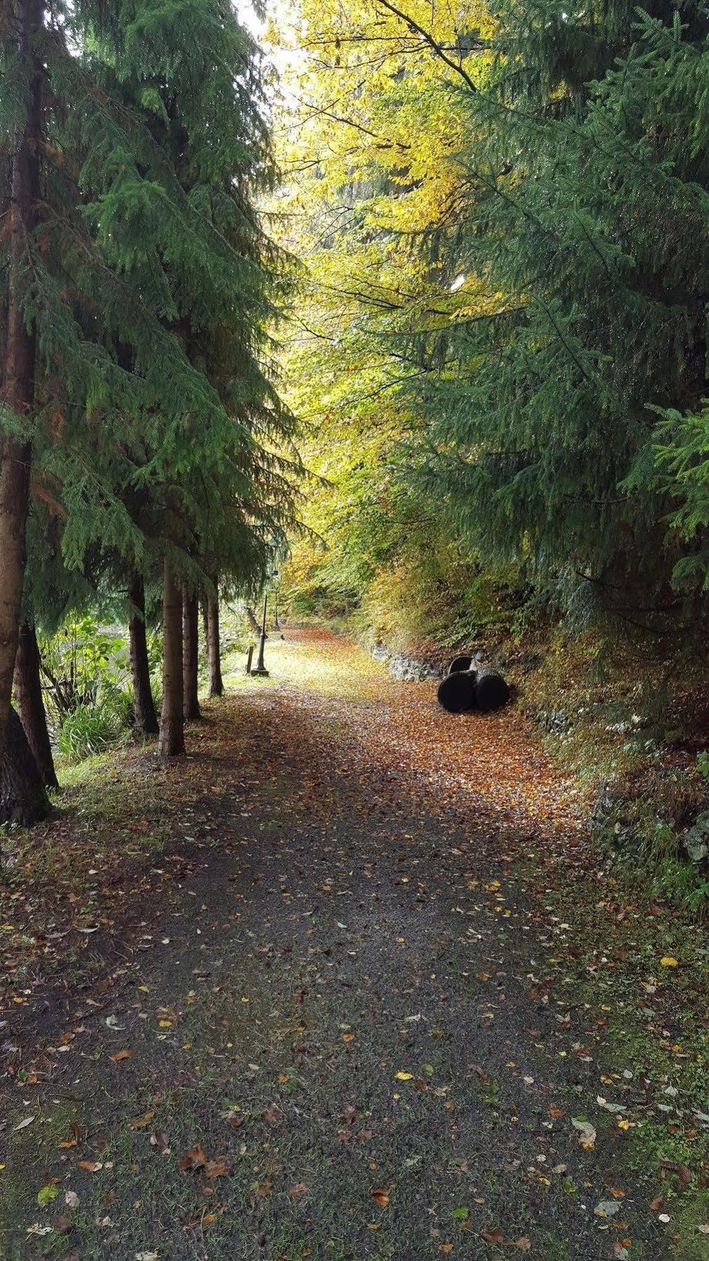 Waldhotel Zur Holzmuhle แอลดากเซน ภายนอก รูปภาพ